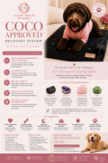 Coco Approved™ Recovery System - Small