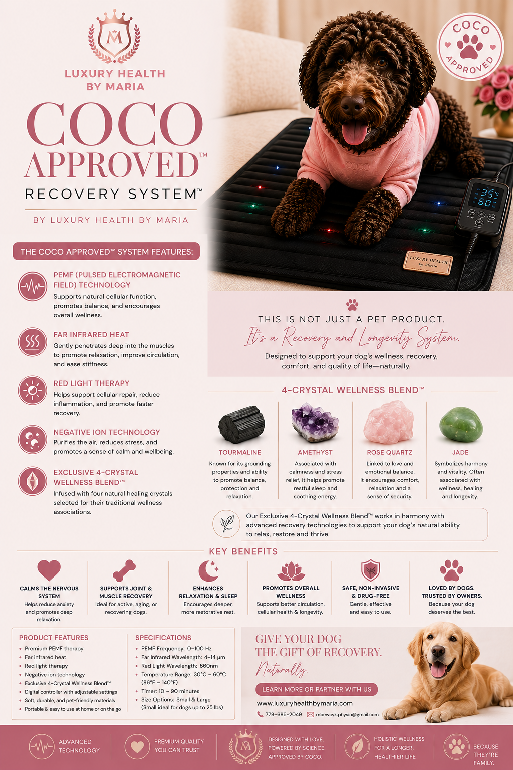 Coco Approved™ Recovery System - Small